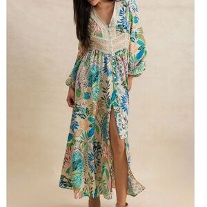 Plus Floral Print V neck Button Down Long Sleeve Maxi Dress